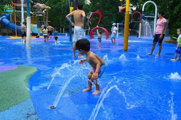 kid friendly pool at the singapore zoo