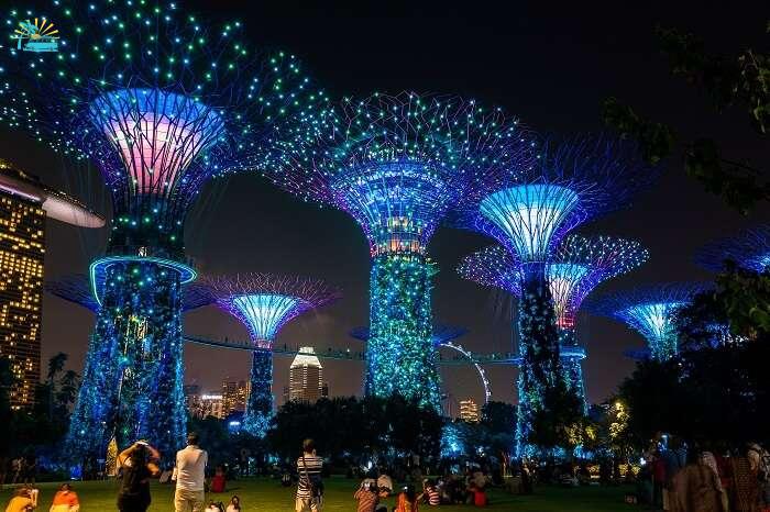 light snd sound show singapore