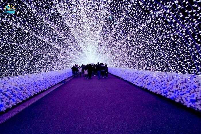 lit walkway Japan winter lights festival