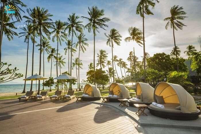 luxury resort in phi phi
