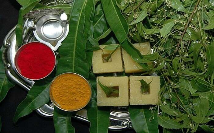 neem leaves and species for Ugadi festival