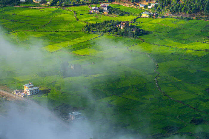 Paddy fields and villages in Trashiyangtse