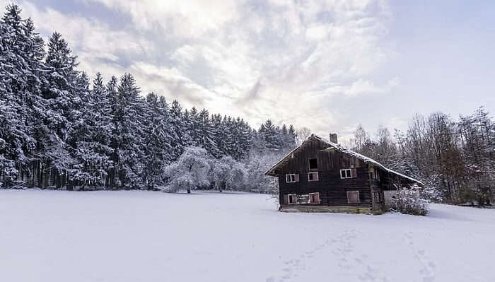 snow covered place